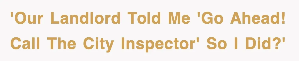 'Our landlord told me 'go ahead! call the city inspector' so I did?'