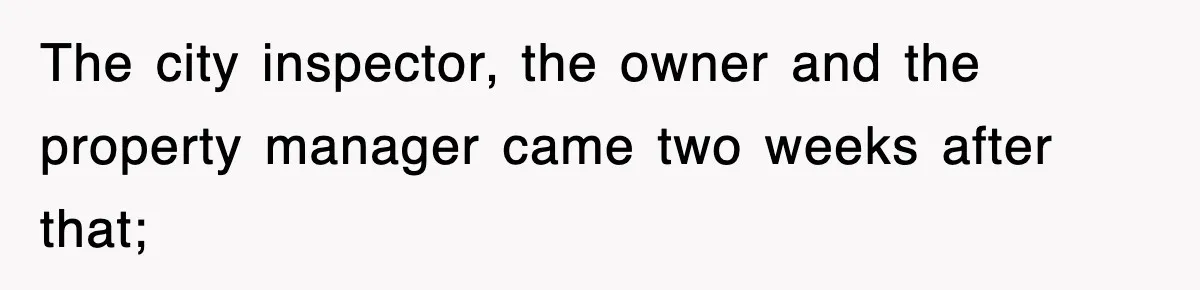 The city inspector, the owner and the property manager came two weeks after that;