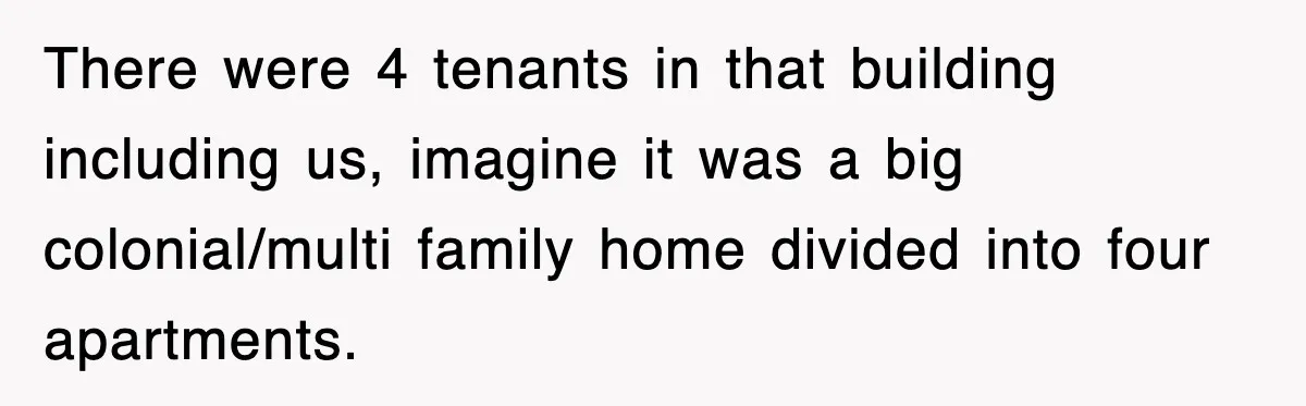 There were 4 tenants in that building including us, imagine it was a big colonial/multi family home divided into four apartments.