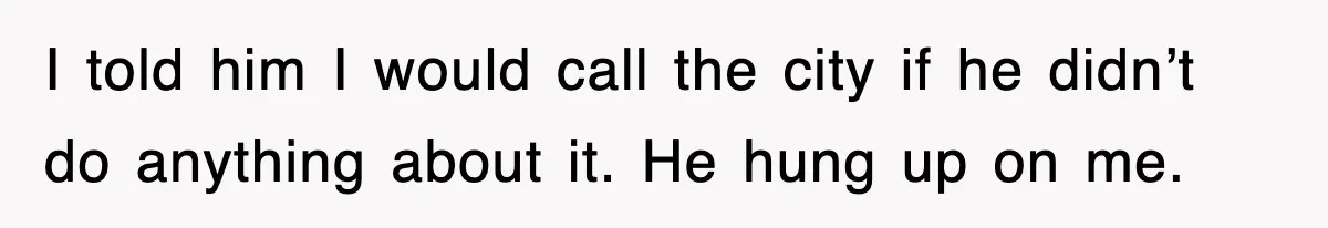 I told him I would call the city if he didn’t do anything about it. He hung up on me.