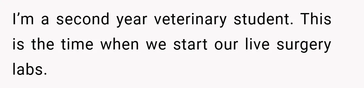 I’m a second year veterinary student. This is the time when we start our live surgery labs.