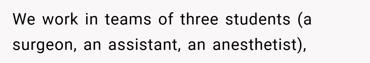 We work in teams of three students (a surgeon, an assistant, an anesthetist),