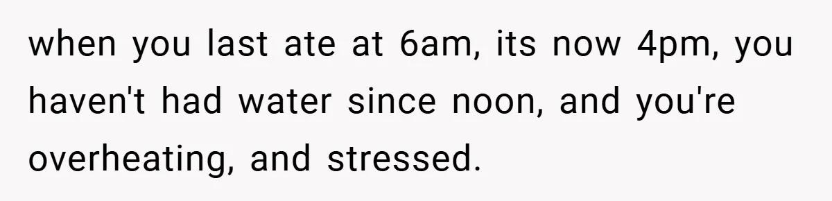 when you last ate at 6am, its now 4pm, you haven't had water since noon, and you're overheating, and stressed.