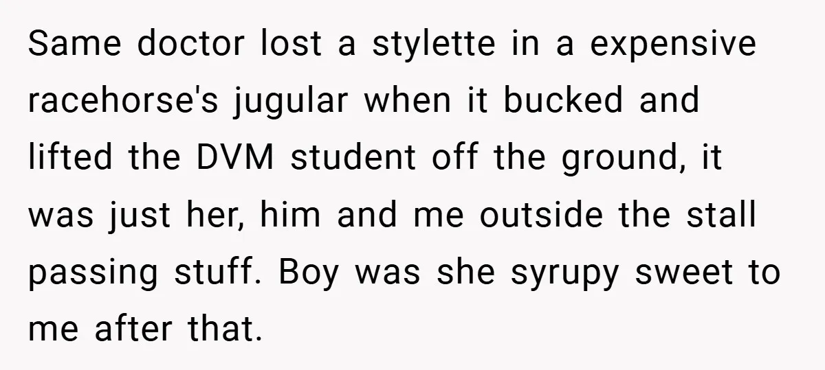 Same doctor lost a stylette in a expensive racehorse's jugular when it bucked and lifted the DVM student off the ground, it was just her, him and me outside the...