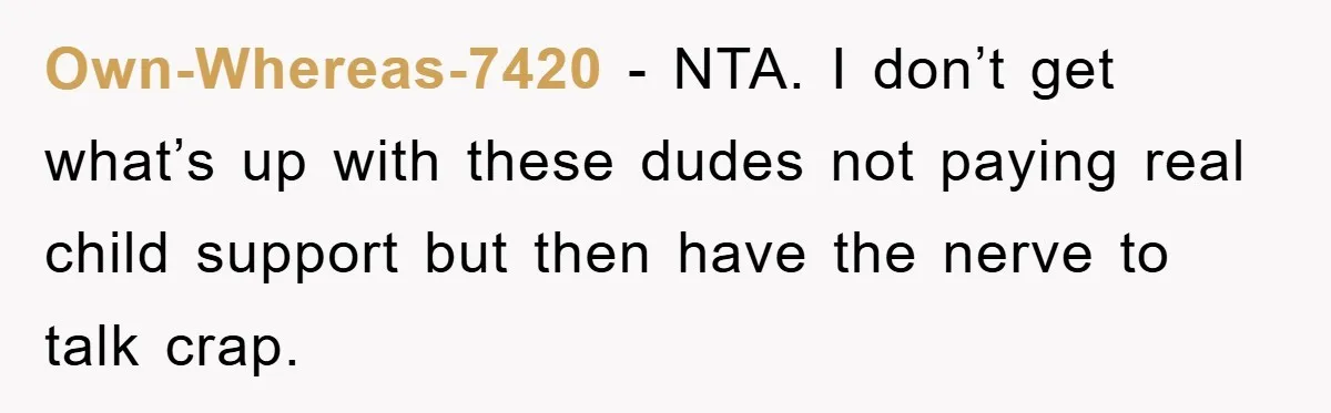 Own-Whereas-7420 − NTA. I don’t get what’s up with these dudes not paying real child support but then have the nerve to talk crap.