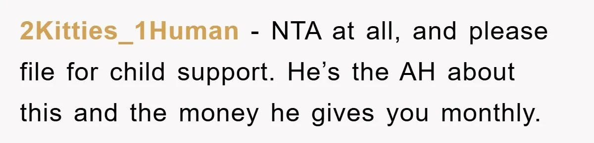 2Kitties_1Human − NTA at all, and please file for child support. He’s the AH about this and the money he gives you monthly.