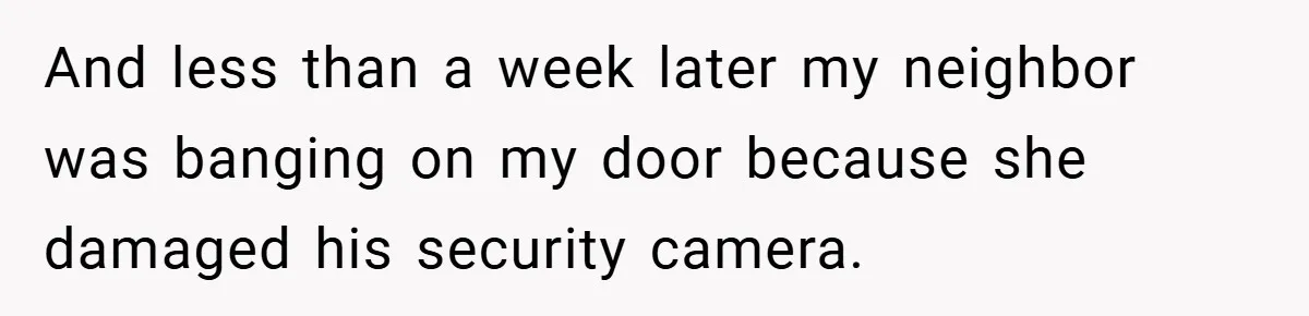 And less than a week later my neighbor was banging on my door because she damaged his security camera.