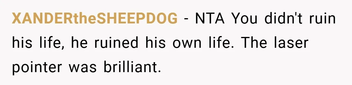XANDERtheSHEEPDOG − NTA You didn't ruin his life, he ruined his own life. The laser pointer was brilliant.