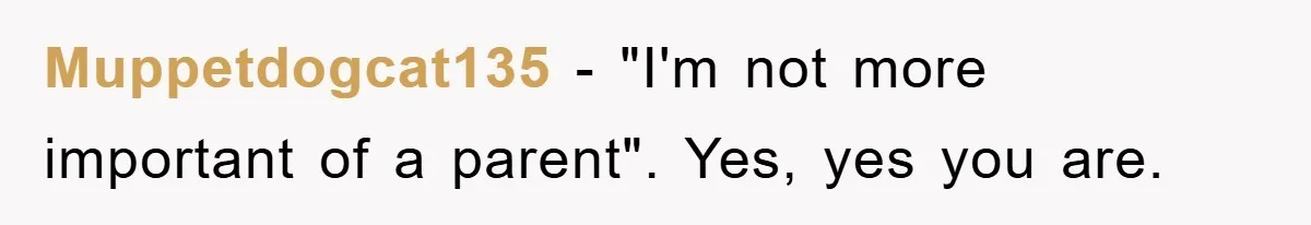 Muppetdogcat135 − "I'm not more important of a parent". Yes, yes you are.