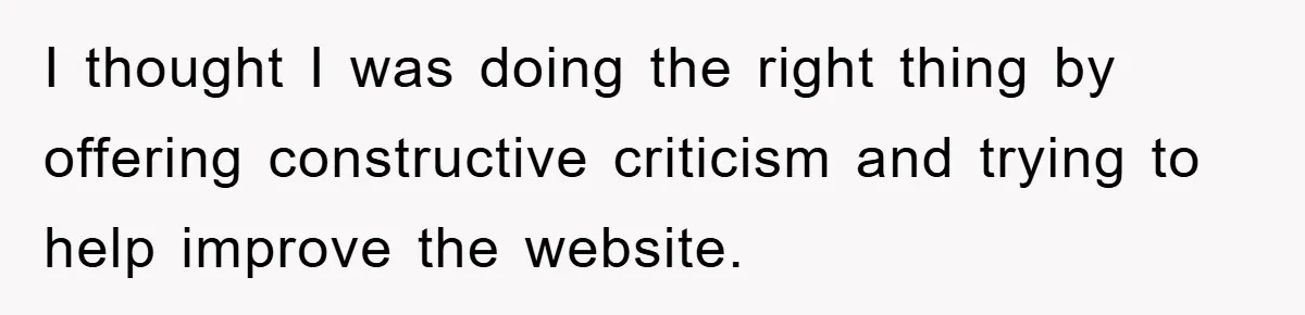 I thought I was doing the right thing by offering constructive criticism and trying to help improve the website.