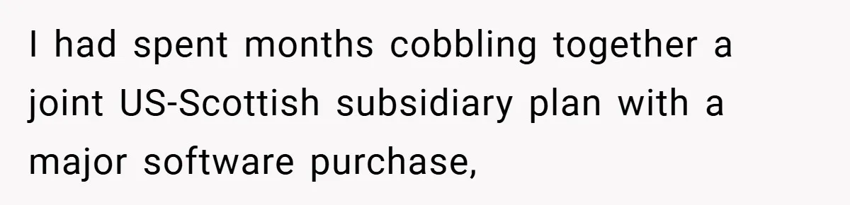 I had spent months cobbling together a joint US-Scottish subsidiary plan with a major software purchase,