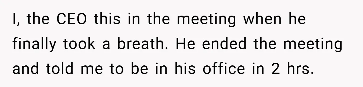 I, the CEO this in the meeting when he finally took a breath. He ended the meeting and told me to be in his office in 2 hrs.