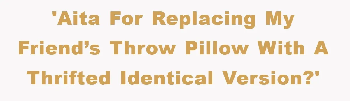 Woman Thought She Was Being Thoughtful, Friend Calls Her ‘Too Clumsy To Live’ Over A Pillow 'AITA for replacing my friend’s throw pillow with a thrifted identical version?'