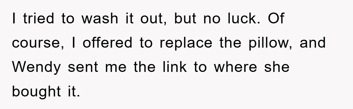 Woman Thought She Was Being Thoughtful, Friend Calls Her ‘Too Clumsy To Live’ Over A Pillow I tried to wash it out, but no luck. Of course, I offered to replace the pillow, and Wendy sent me the link to where she bought it.