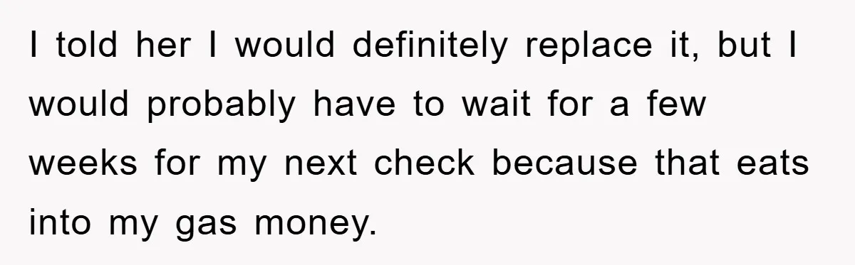 Woman Thought She Was Being Thoughtful, Friend Calls Her ‘Too Clumsy To Live’ Over A Pillow I told her I would definitely replace it, but I would probably have to wait for a few weeks for my next check because that eats into my gas money.