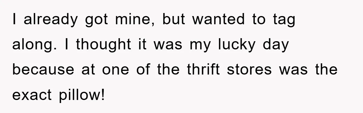 Woman Thought She Was Being Thoughtful, Friend Calls Her ‘Too Clumsy To Live’ Over A Pillow I already got mine, but wanted to tag along. I thought it was my lucky day because at one of the thrift stores was the exact pillow!