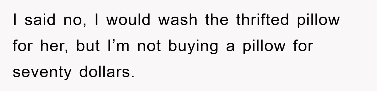 Woman Thought She Was Being Thoughtful, Friend Calls Her ‘Too Clumsy To Live’ Over A Pillow I said no, I would wash the thrifted pillow for her, but I’m not buying a pillow for seventy dollars.