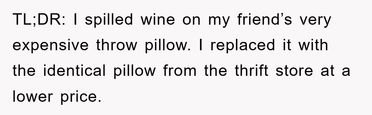 Woman Thought She Was Being Thoughtful, Friend Calls Her ‘Too Clumsy To Live’ Over A Pillow TL;DR: I spilled wine on my friend’s very expensive throw pillow. I replaced it with the identical pillow from the thrift store at a lower price.