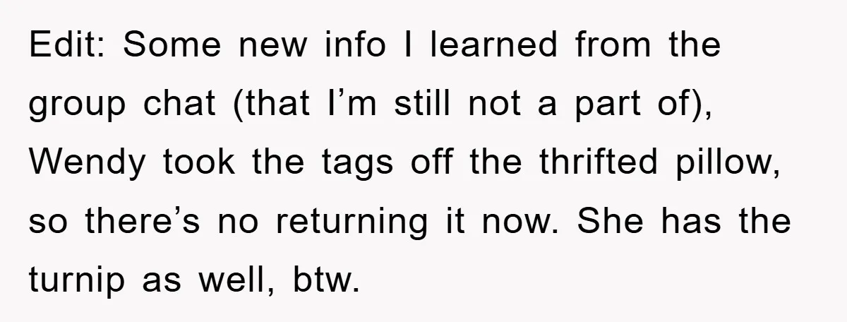 Woman Thought She Was Being Thoughtful, Friend Calls Her ‘Too Clumsy To Live’ Over A Pillow Edit: Some new info I learned from the group chat (that I’m still not a part of), Wendy took the tags off the thrifted pillow, so there’s no returning it...