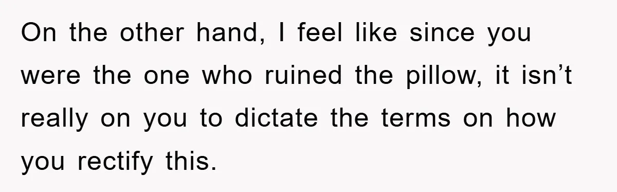 Woman Thought She Was Being Thoughtful, Friend Calls Her ‘Too Clumsy To Live’ Over A Pillow On the other hand, I feel like since you were the one who ruined the pillow, it isn’t really on you to dictate the terms on how you rectify this.