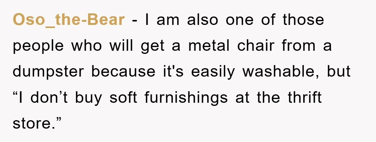 Woman Thought She Was Being Thoughtful, Friend Calls Her ‘Too Clumsy To Live’ Over A Pillow Oso_the-Bear − I am also one of those people who will get a metal chair from a dumpster because it's easily washable, but “I don’t buy soft furnishings at the...