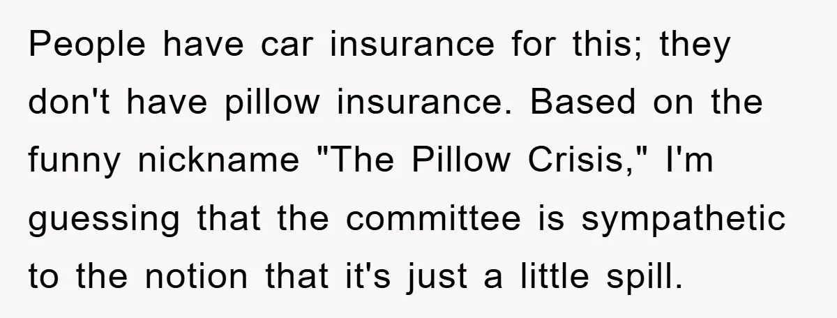 Woman Thought She Was Being Thoughtful, Friend Calls Her ‘Too Clumsy To Live’ Over A Pillow People have car insurance for this; they don't have pillow insurance. Based on the funny nickname "The Pillow Crisis," I'm guessing that the committee is sympathetic to the notion that...
