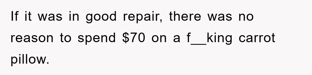 Woman Thought She Was Being Thoughtful, Friend Calls Her ‘Too Clumsy To Live’ Over A Pillow If it was in good repair, there was no reason to spend $70 on a f__king carrot pillow.