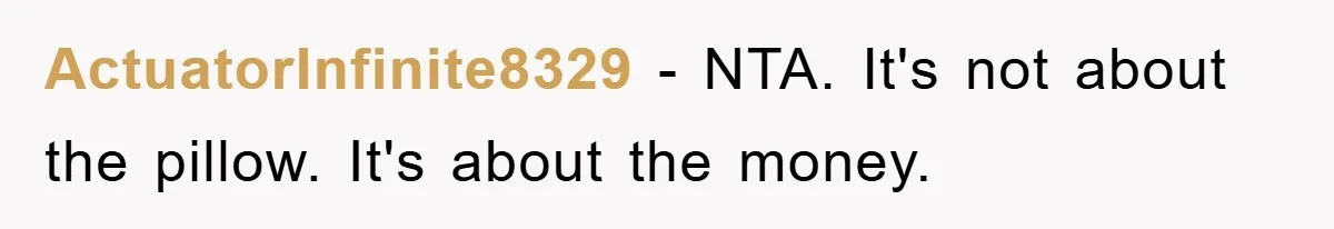 Woman Thought She Was Being Thoughtful, Friend Calls Her ‘Too Clumsy To Live’ Over A Pillow ActuatorInfinite8329 − NTA. It's not about the pillow. It's about the money.