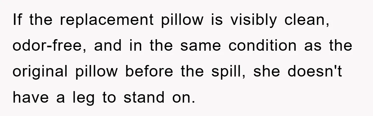 Woman Thought She Was Being Thoughtful, Friend Calls Her ‘Too Clumsy To Live’ Over A Pillow If the replacement pillow is visibly clean, odor-free, and in the same condition as the original pillow before the spill, she doesn't have a leg to stand on.