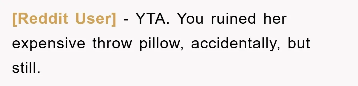 [Reddit User] − YTA. You ruined her expensive throw pillow, accidentally, but still.