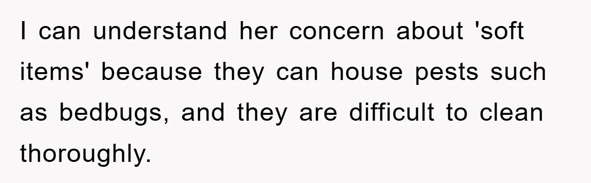 Woman Thought She Was Being Thoughtful, Friend Calls Her ‘Too Clumsy To Live’ Over A Pillow I can understand her concern about 'soft items' because they can house pests such as bedbugs, and they are difficult to clean thoroughly.