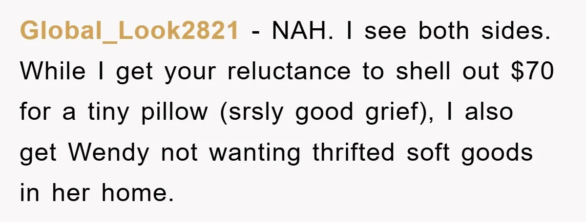 Woman Thought She Was Being Thoughtful, Friend Calls Her ‘Too Clumsy To Live’ Over A Pillow Global_Look2821 − NAH. I see both sides. While I get your reluctance to shell out $70 for a tiny pillow (srsly good grief), I also get Wendy not wanting thrifted...
