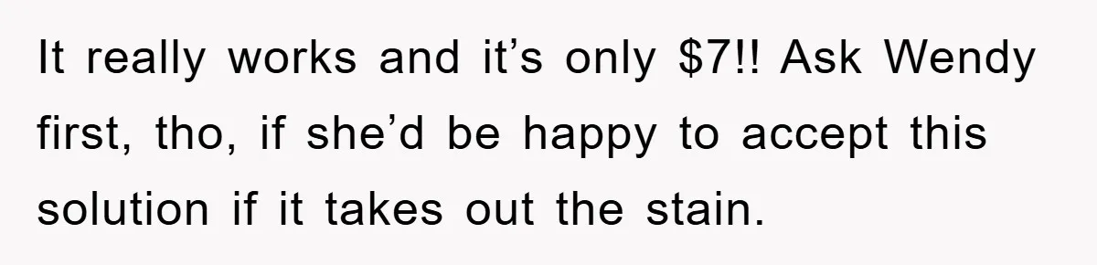 Woman Thought She Was Being Thoughtful, Friend Calls Her ‘Too Clumsy To Live’ Over A Pillow It really works and it’s only $7!! Ask Wendy first, tho, if she’d be happy to accept this solution if it takes out the stain.