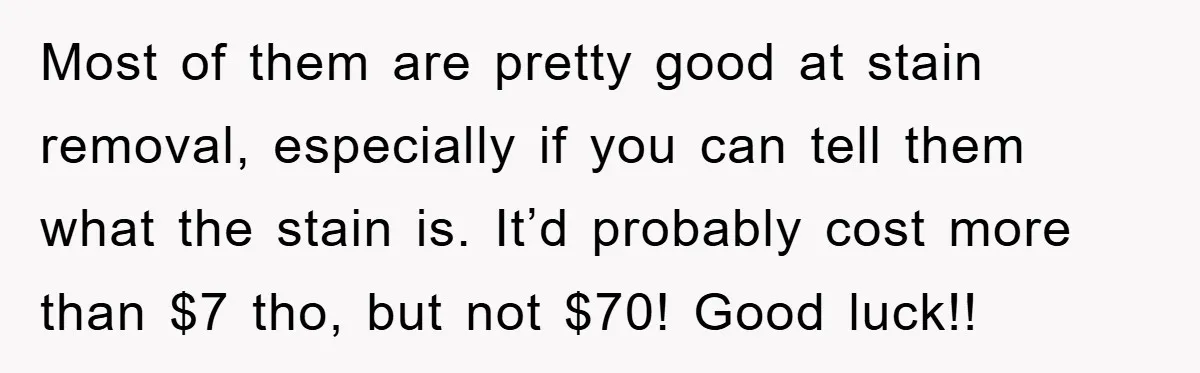 Woman Thought She Was Being Thoughtful, Friend Calls Her ‘Too Clumsy To Live’ Over A Pillow Most of them are pretty good at stain removal, especially if you can tell them what the stain is. It’d probably cost more than $7 tho, but not $70! Good...
