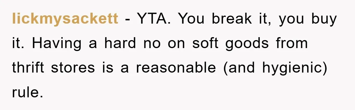 Woman Thought She Was Being Thoughtful, Friend Calls Her ‘Too Clumsy To Live’ Over A Pillow lickmysackett − YTA. You break it, you buy it. Having a hard no on soft goods from thrift stores is a reasonable (and hygienic) rule.