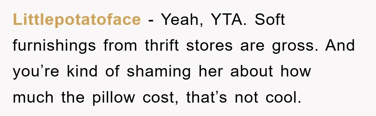 Woman Thought She Was Being Thoughtful, Friend Calls Her ‘Too Clumsy To Live’ Over A Pillow Littlepotatoface − Yeah, YTA. Soft furnishings from thrift stores are gross. And you’re kind of shaming her about how much the pillow cost, that’s not cool.