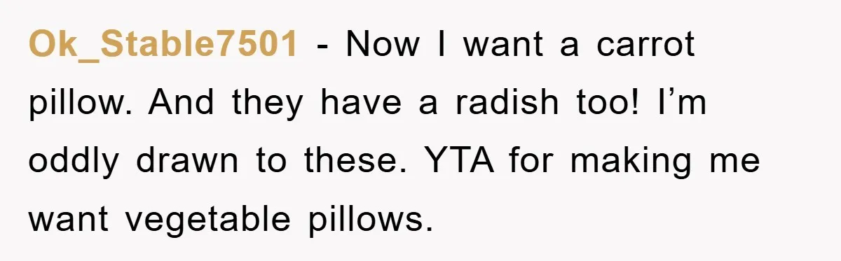 Woman Thought She Was Being Thoughtful, Friend Calls Her ‘Too Clumsy To Live’ Over A Pillow Ok_Stable7501 − Now I want a carrot pillow. And they have a radish too! I’m oddly drawn to these. YTA for making me want vegetable pillows.