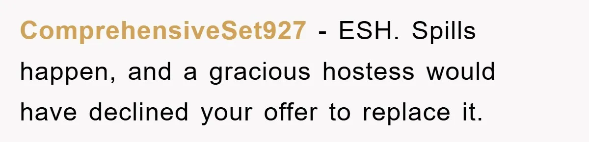 Woman Thought She Was Being Thoughtful, Friend Calls Her ‘Too Clumsy To Live’ Over A Pillow ComprehensiveSet927 − ESH. Spills happen, and a gracious hostess would have declined your offer to replace it.