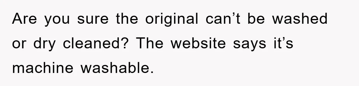 Woman Thought She Was Being Thoughtful, Friend Calls Her ‘Too Clumsy To Live’ Over A Pillow Are you sure the original can’t be washed or dry cleaned? The website says it’s machine washable.