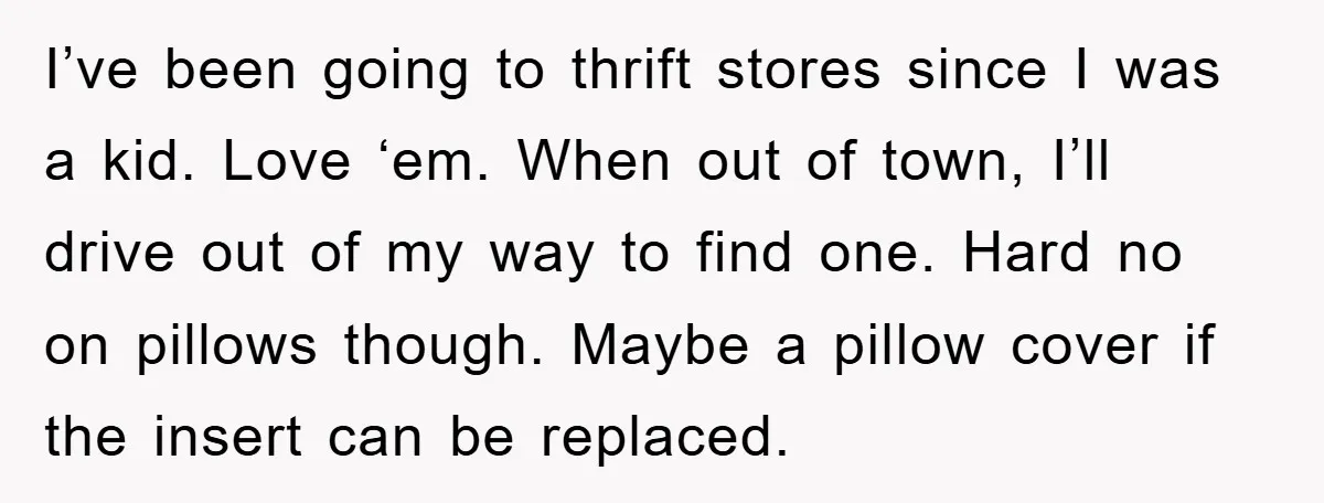 Woman Thought She Was Being Thoughtful, Friend Calls Her ‘Too Clumsy To Live’ Over A Pillow I’ve been going to thrift stores since I was a kid. Love ‘em. When out of town, I’ll drive out of my way to find one. Hard no on pillows...