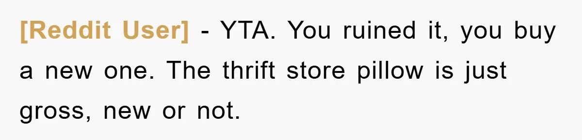 [Reddit User] − YTA. You ruined it, you buy a new one. The thrift store pillow is just gross, new or not.