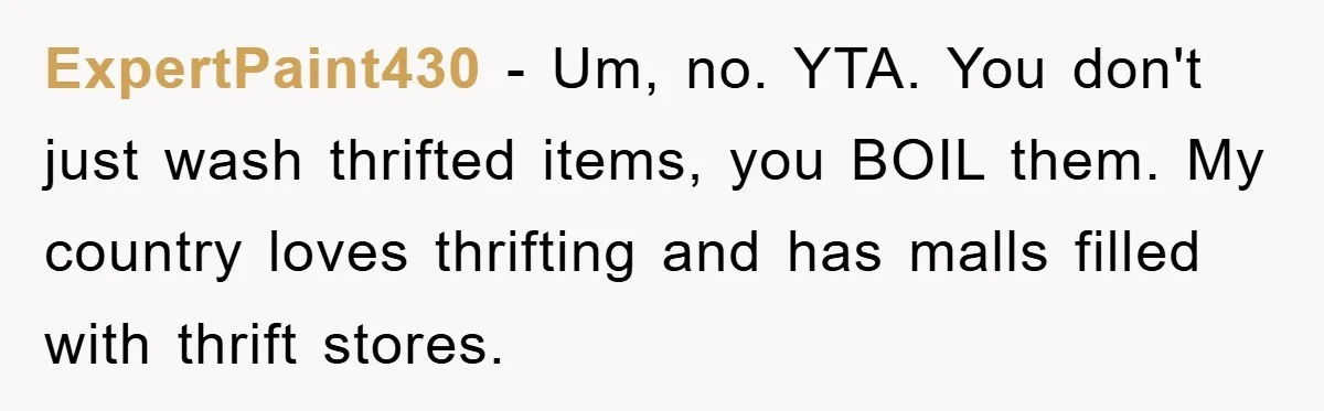 Woman Thought She Was Being Thoughtful, Friend Calls Her ‘Too Clumsy To Live’ Over A Pillow ExpertPaint430 − Um, no. YTA. You don't just wash thrifted items, you BOIL them. My country loves thrifting and has malls filled with thrift stores.
