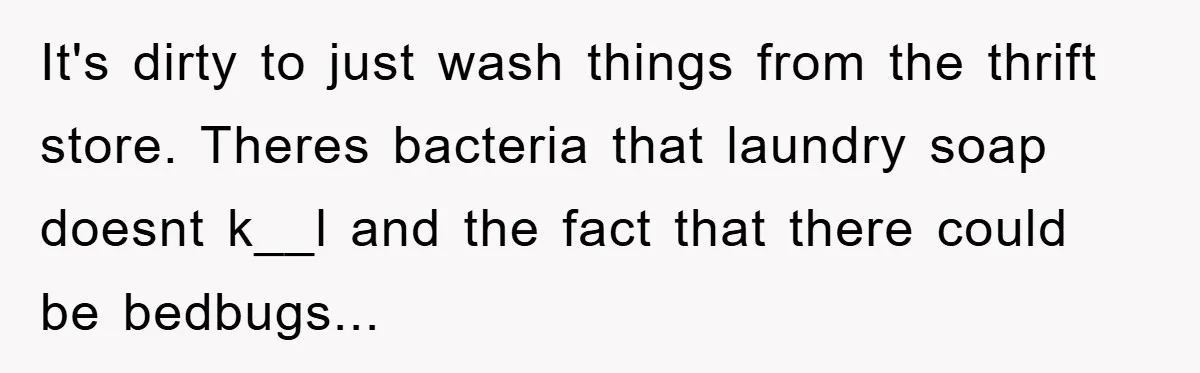 Woman Thought She Was Being Thoughtful, Friend Calls Her ‘Too Clumsy To Live’ Over A Pillow It's dirty to just wash things from the thrift store. Theres bacteria that laundry soap doesnt k__l and the fact that there could be bedbugs...