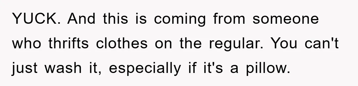 Woman Thought She Was Being Thoughtful, Friend Calls Her ‘Too Clumsy To Live’ Over A Pillow YUCK. And this is coming from someone who thrifts clothes on the regular. You can't just wash it, especially if it's a pillow.