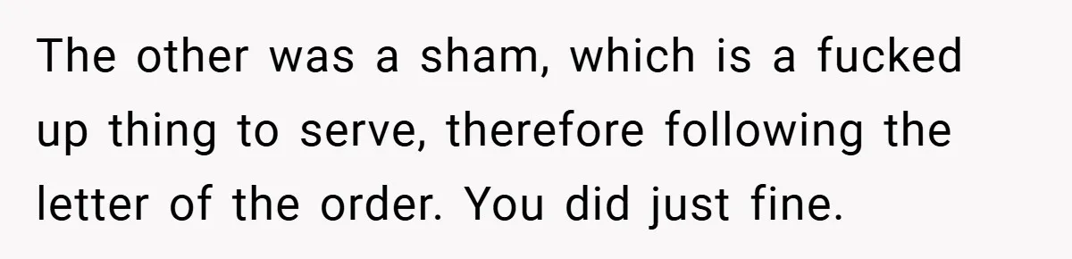 The other was a sham, which is a fucked up thing to serve, therefore following the letter of the order. You did just fine.
