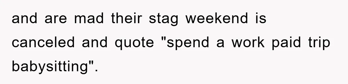 and are mad their stag weekend is canceled and quote "spend a work paid trip babysitting".