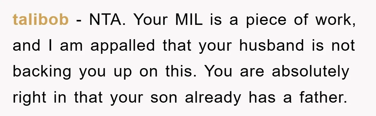 talibob − NTA. Your MIL is a piece of work, and I am appalled that your husband is not backing you up on this. You are absolutely right in that...