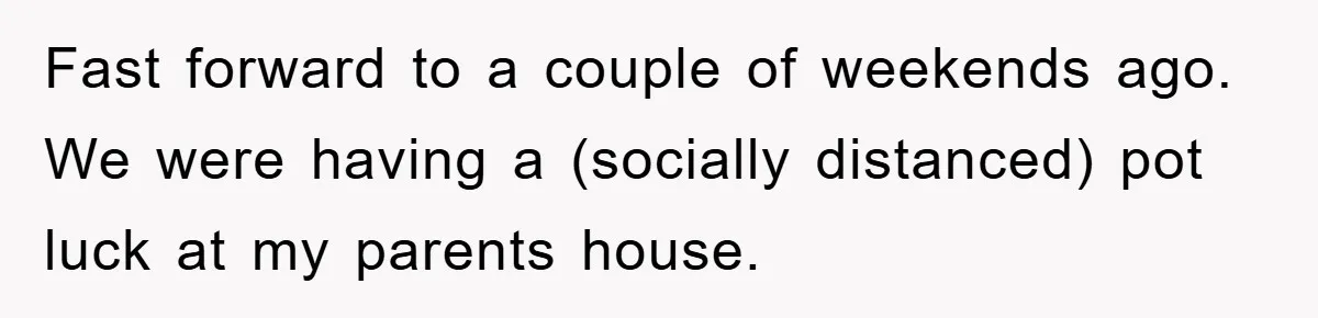 Fast forward to a couple of weekends ago. We were having a (socially distanced) pot luck at my parents house.