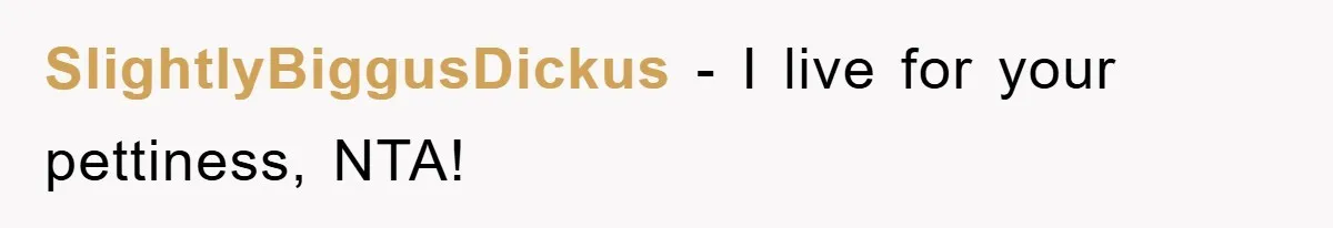 SlightlyBiggusDickus − I live for your pettiness, NTA!