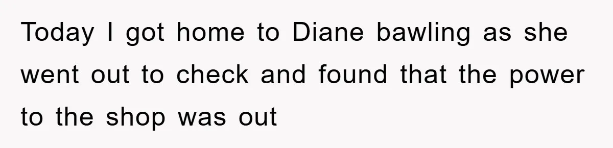 Today I got home to Diane bawling as she went out to check and found that the power to the shop was out